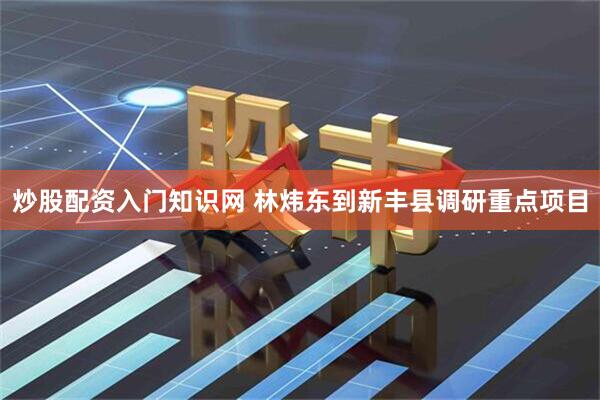 炒股配资入门知识网 林炜东到新丰县调研重点项目