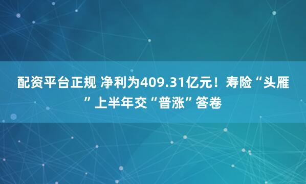 配资平台正规 净利为409.31亿元！寿险“头雁”上半年交“普涨”答卷